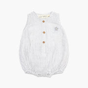 Grey Stripe